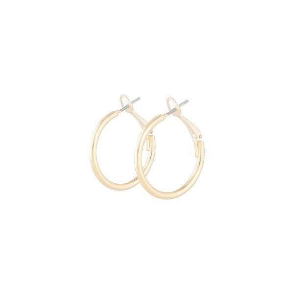 Polished Dainty Hoop Earrings