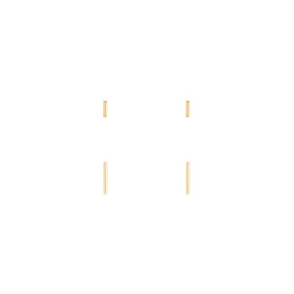 Stick Earrings Duet