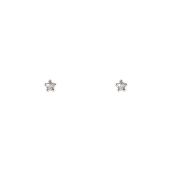 Micro Star Stud Earrings